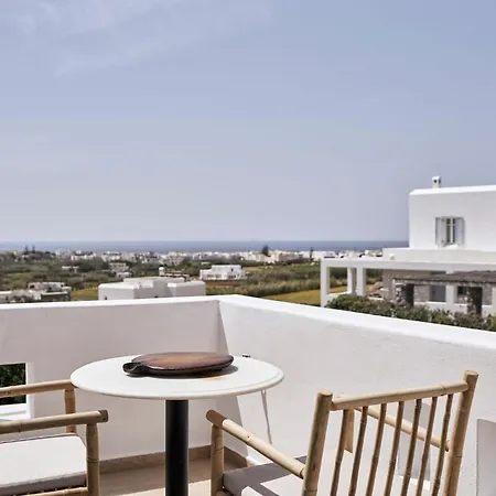 Luxury Naxos Elegant Air Conditioning Private Pool Вилла